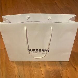 Burberry White Luxury Shopping Bag with Rope Handles